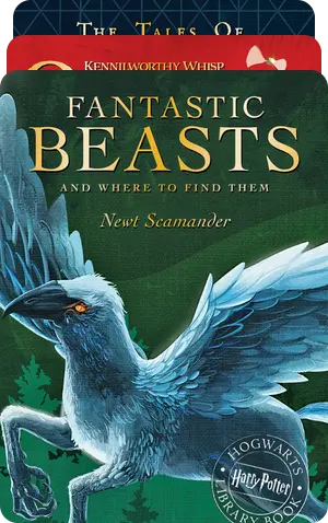Hogwarts Library Set: Quidditch, Fantastic Beasts & More 1