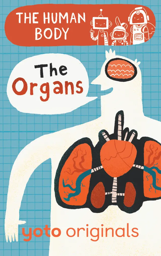 Inside The Human Body: Exploring Vital Organs 1
