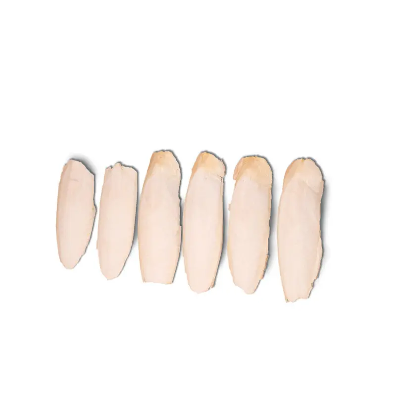 Natural Cuttlefish Bone Mold Material 1