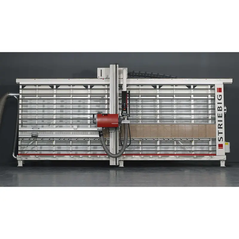 Striebig Standard S Vertical Panel Saw – Compact Industrial Model 1