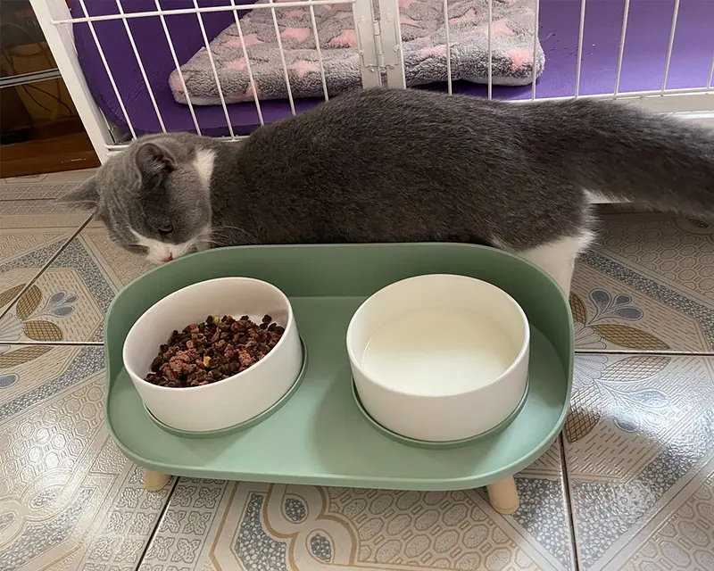 Vonsamge Elevated Pet Feeding Bowl – Angled Ceramic Dish For Dogs & Cats With Non-Slip Base & Spill-Resistant Design 1